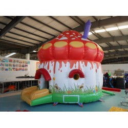 Mushroom Inflatable Bouncer